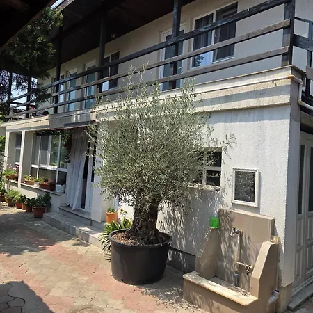 Casa Iasmina Pansiyon *