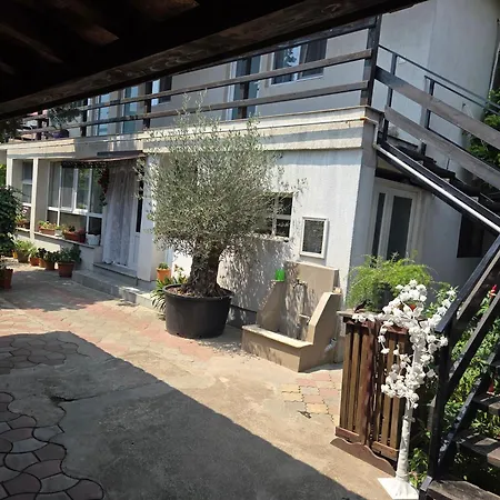 Casa Iasmina Costinesti
